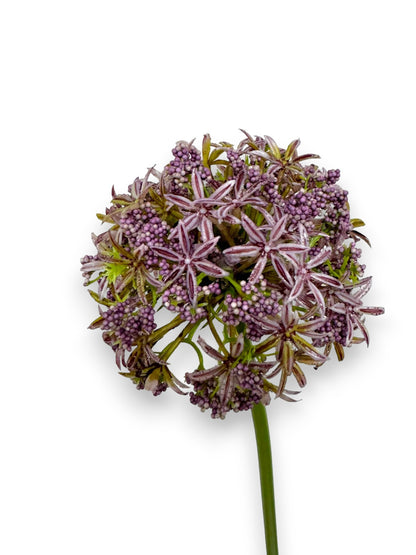 ALLIUM SPRAY 31"