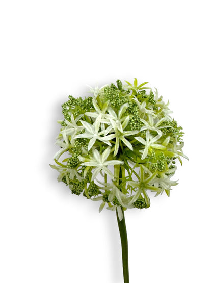 ALLIUM SPRAY 31"