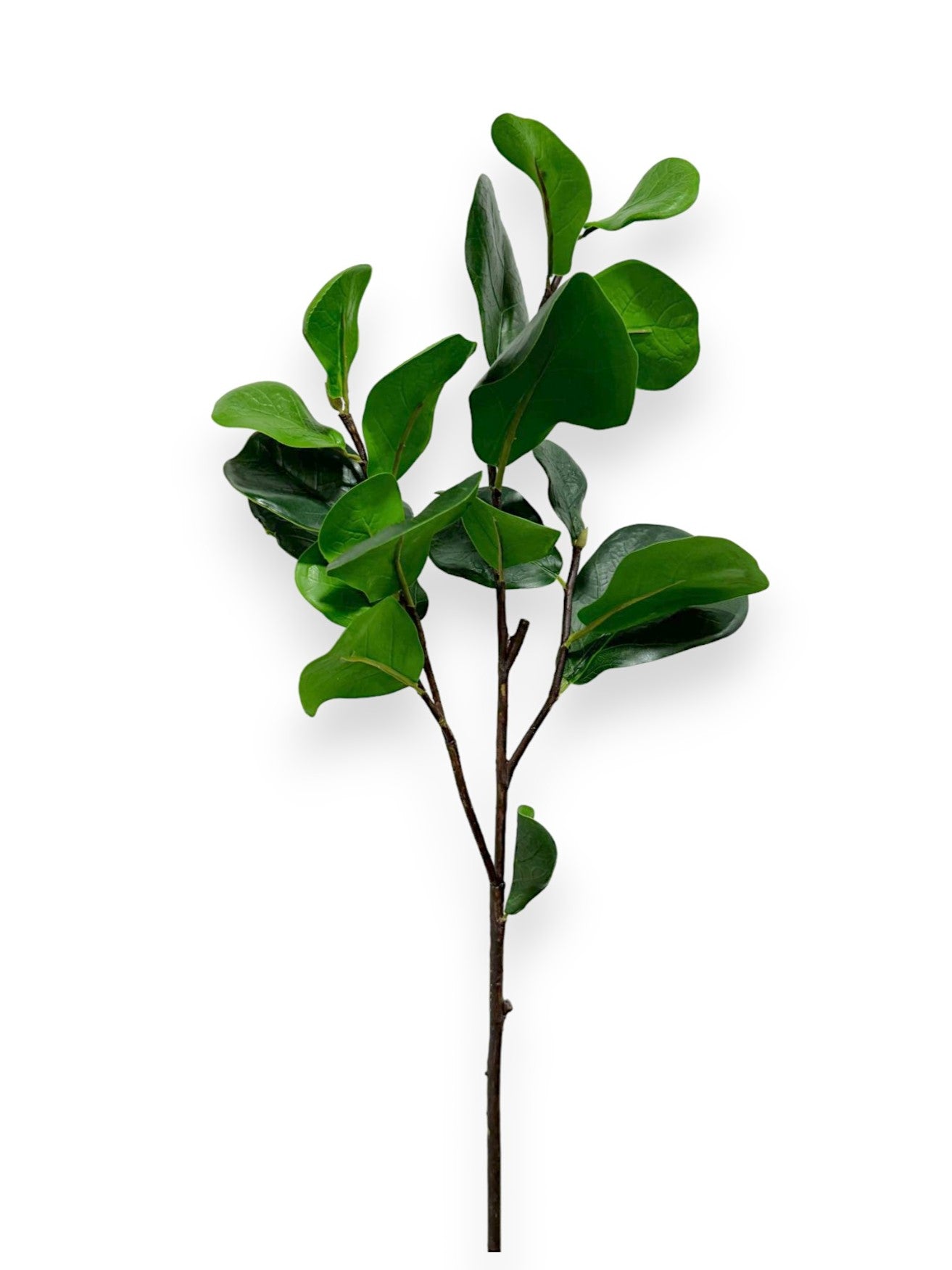FIDDLE LEAF SPRAY 29"