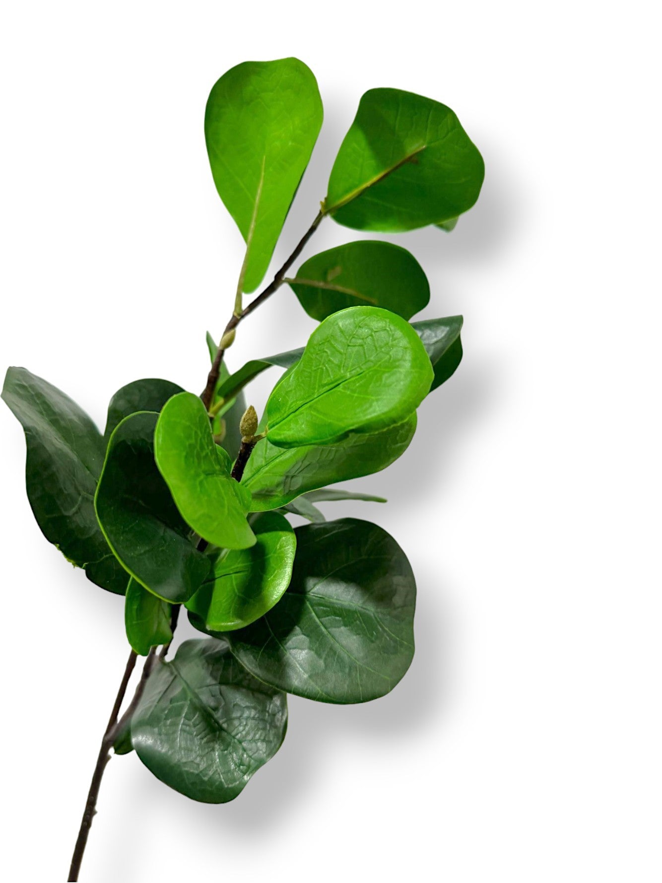 FIDDLE LEAF SPRAY 29"