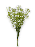 GYPSOPHYLIA BUNDLE X6