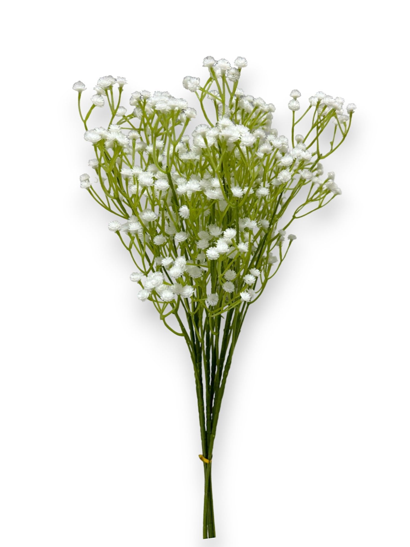 GYPSOPHYLIA BUNDLE X6