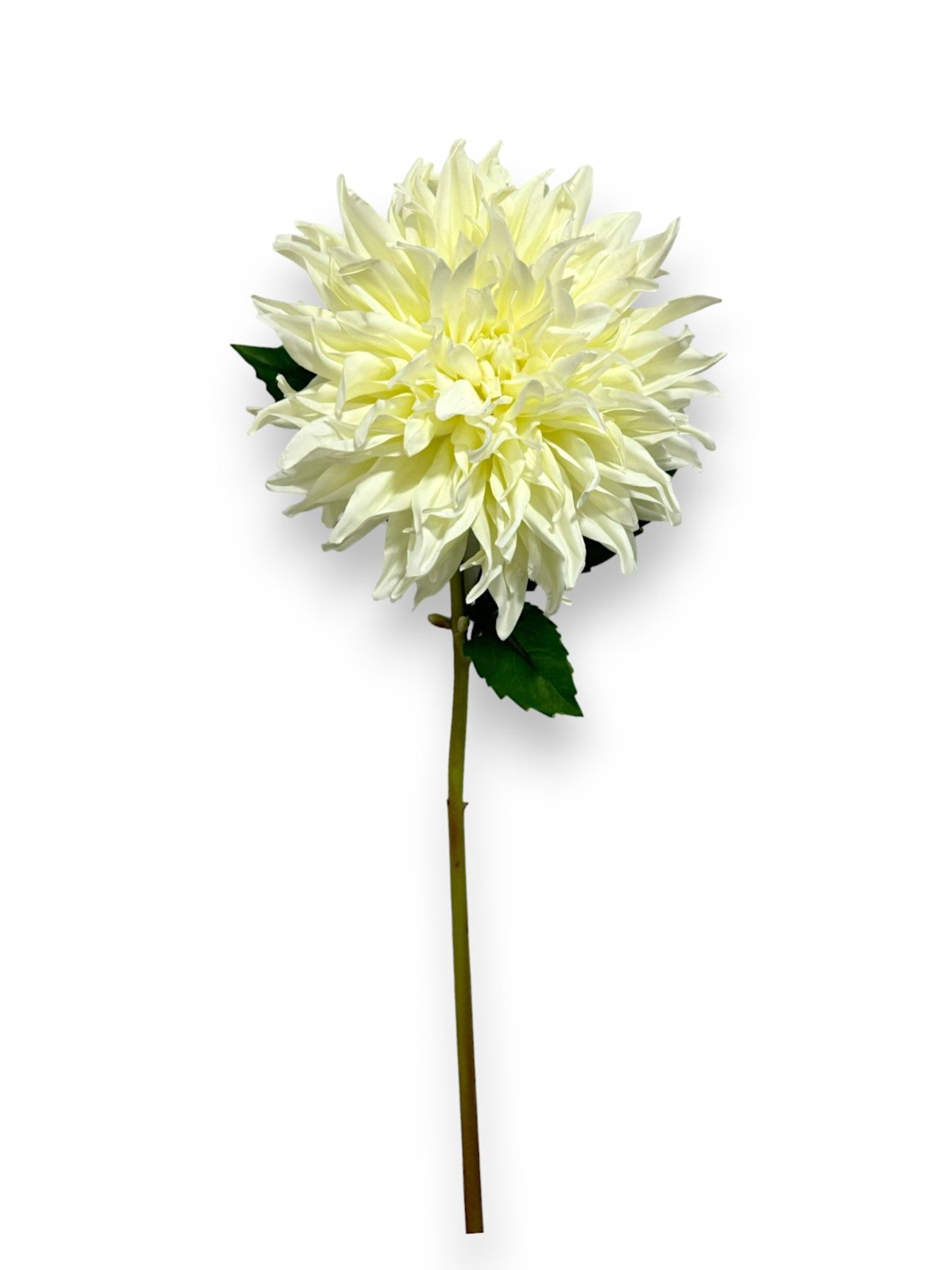 DAHLIA SPRAY GIANT 27"