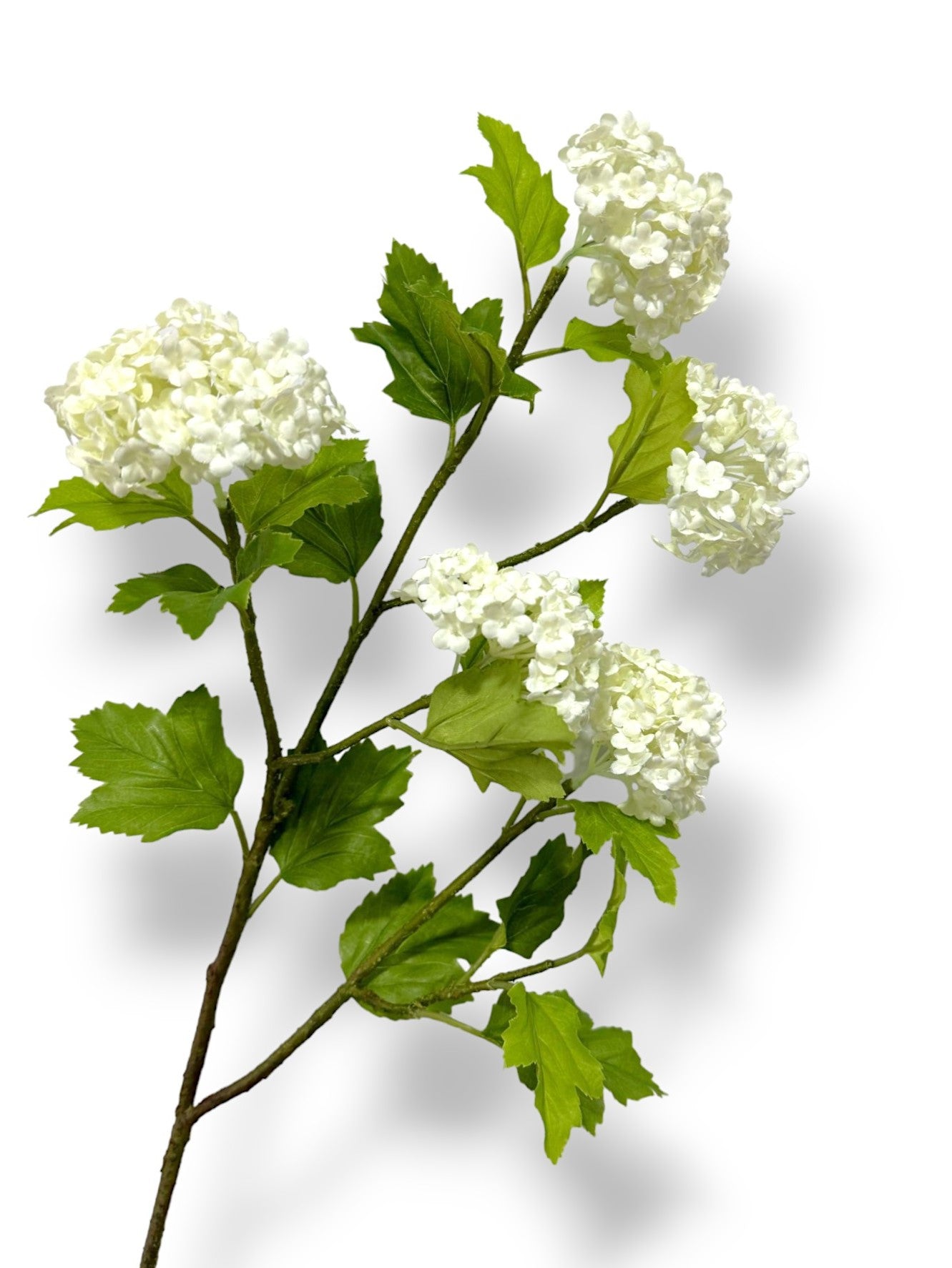 SNOWBALL HYDRANGEAS SPRAY