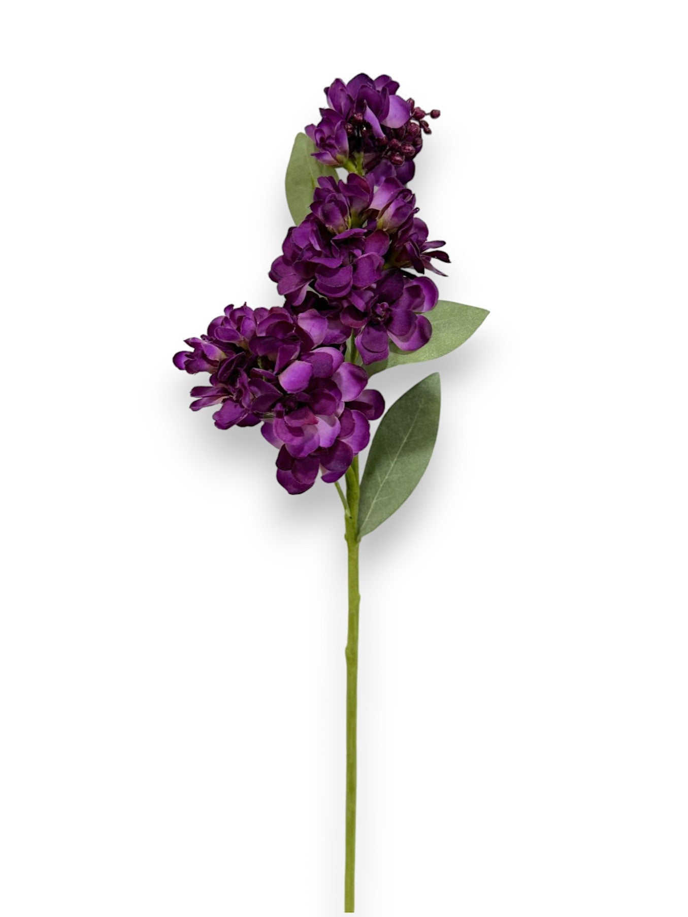 RT.STOCK SPRAY