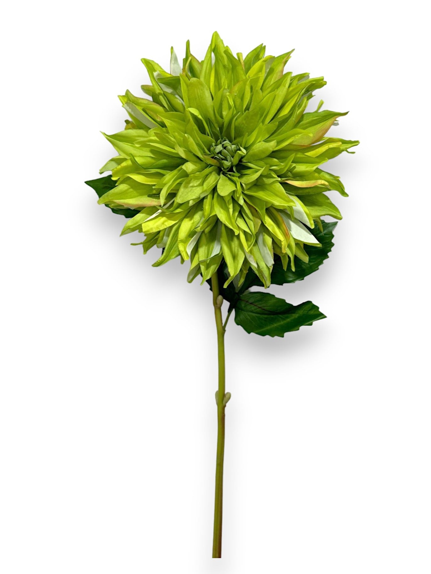 DAHLIA SPRAY GIANT 27"