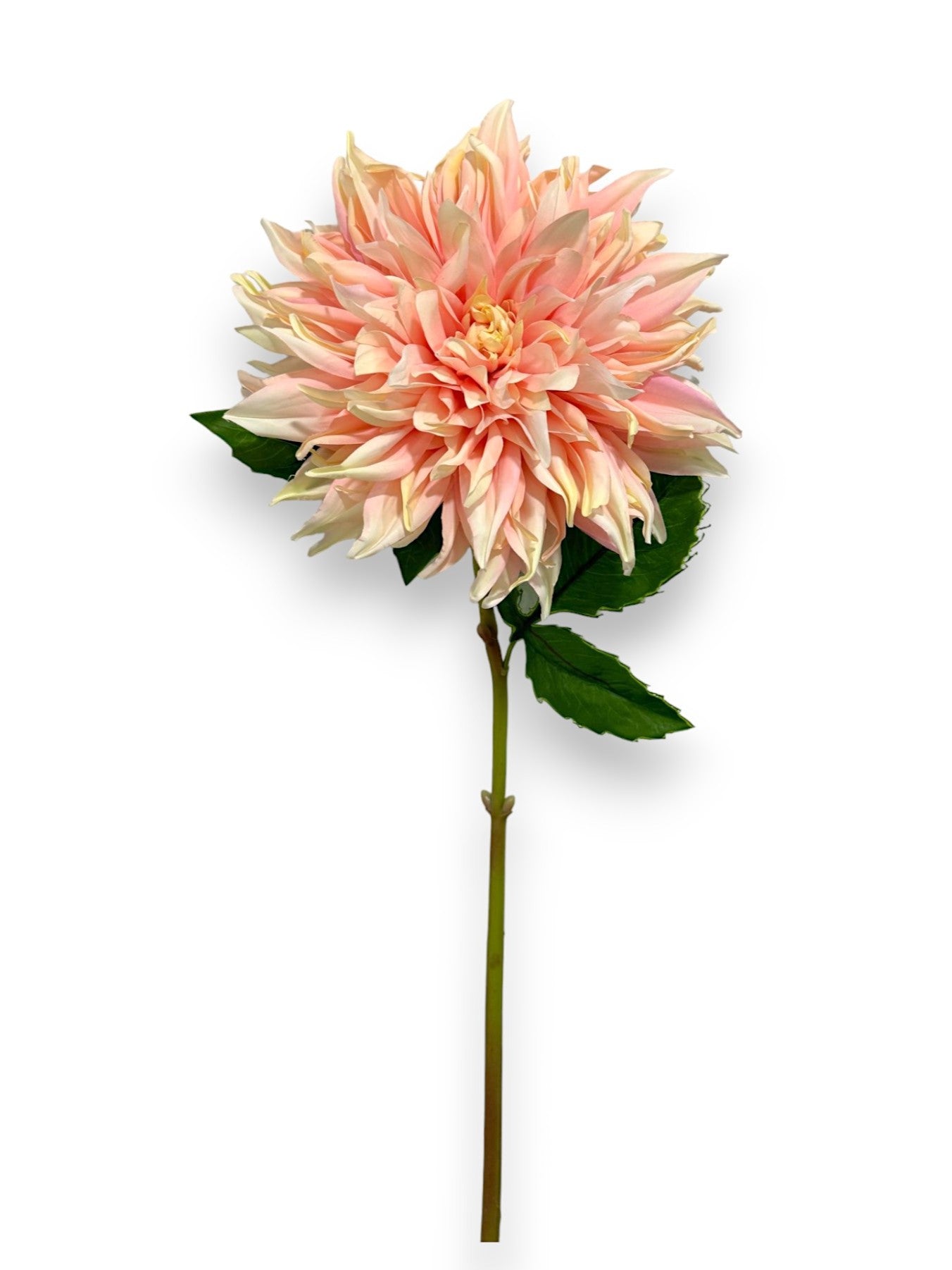 DAHLIA SPRAY GIANT 27"