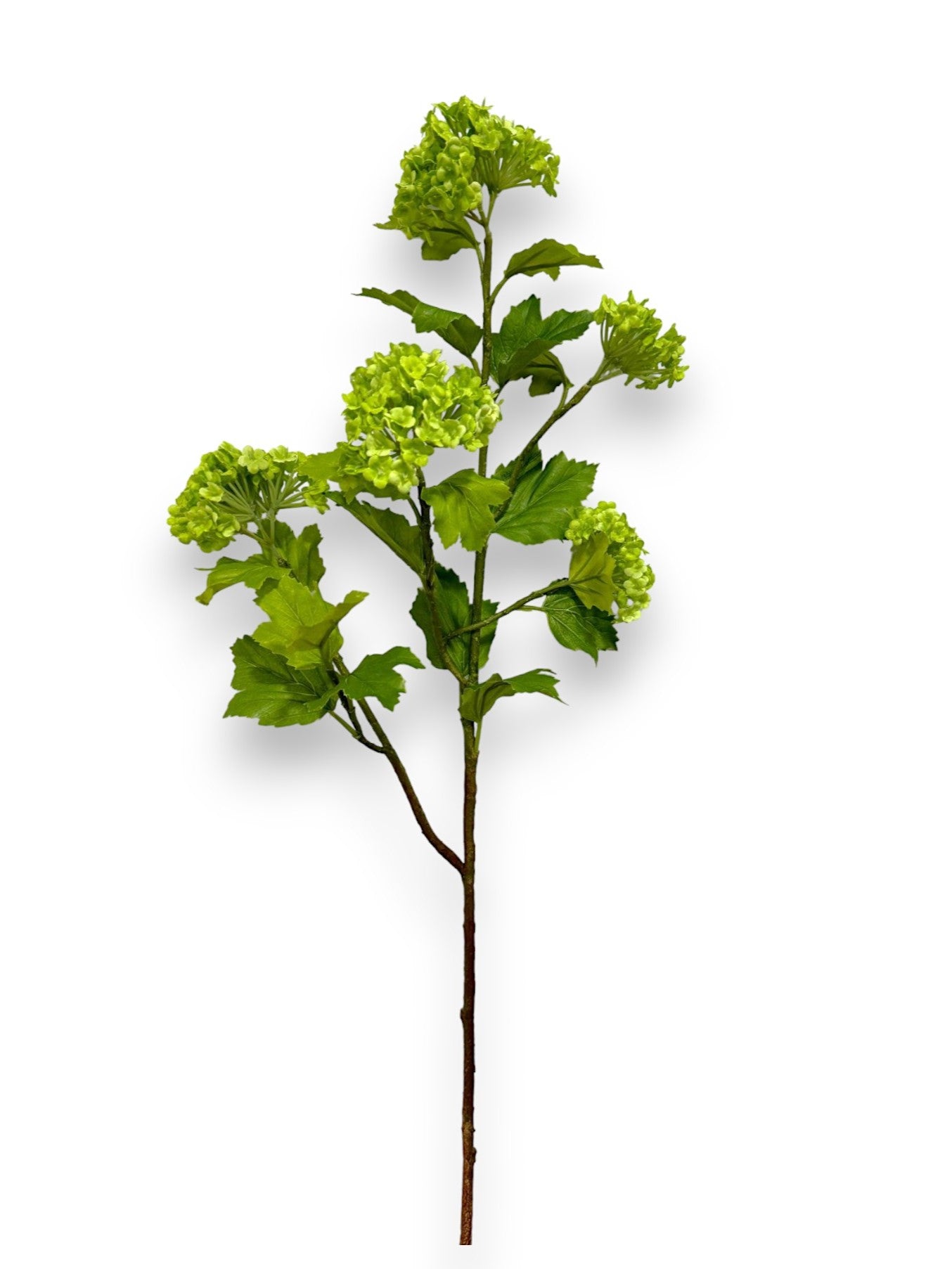 SNOWBALL HYDRANGEAS SPRAY