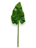 CALLA LEAF L