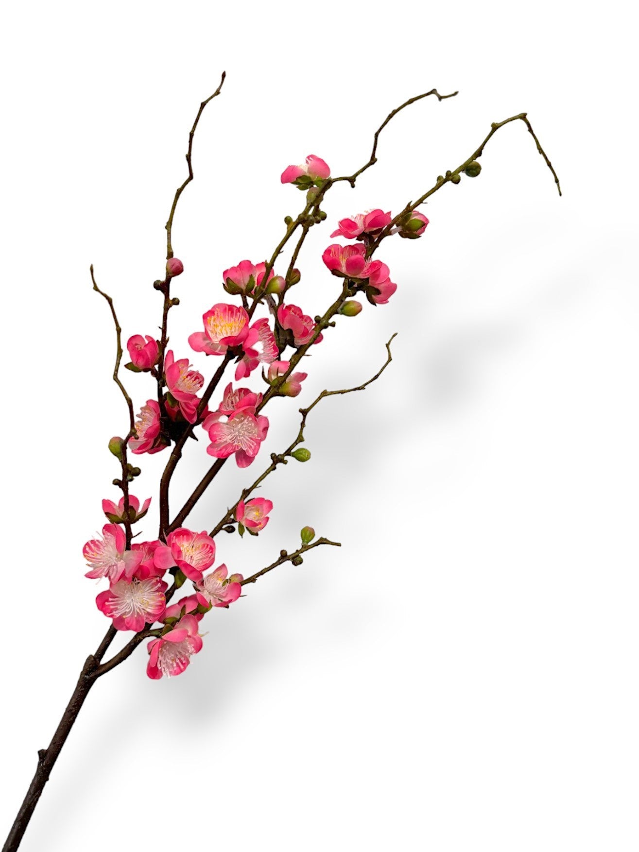PLUM BLOSSOM BRANCH 37"