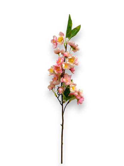 CHERRY BLOSSOM SPRAY