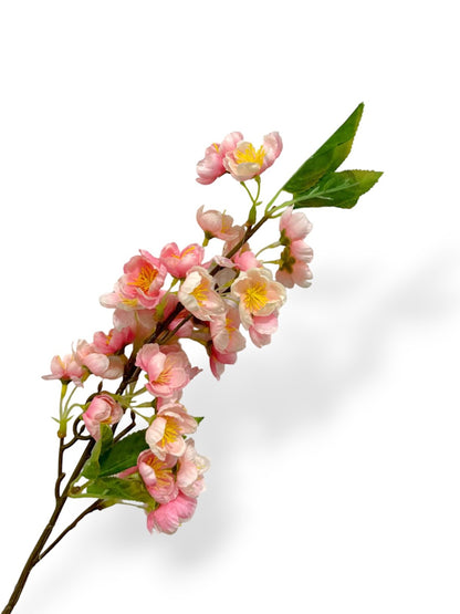 CHERRY BLOSSOM SPRAY