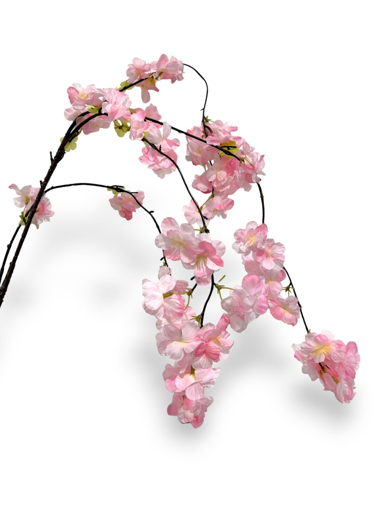 Cherry blossom spray