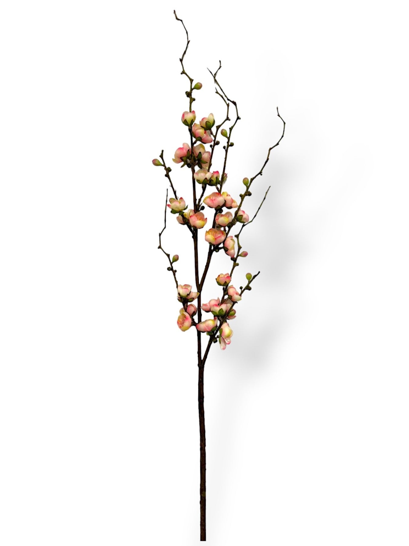 PLUM BLOSSOM BRANCH 37"