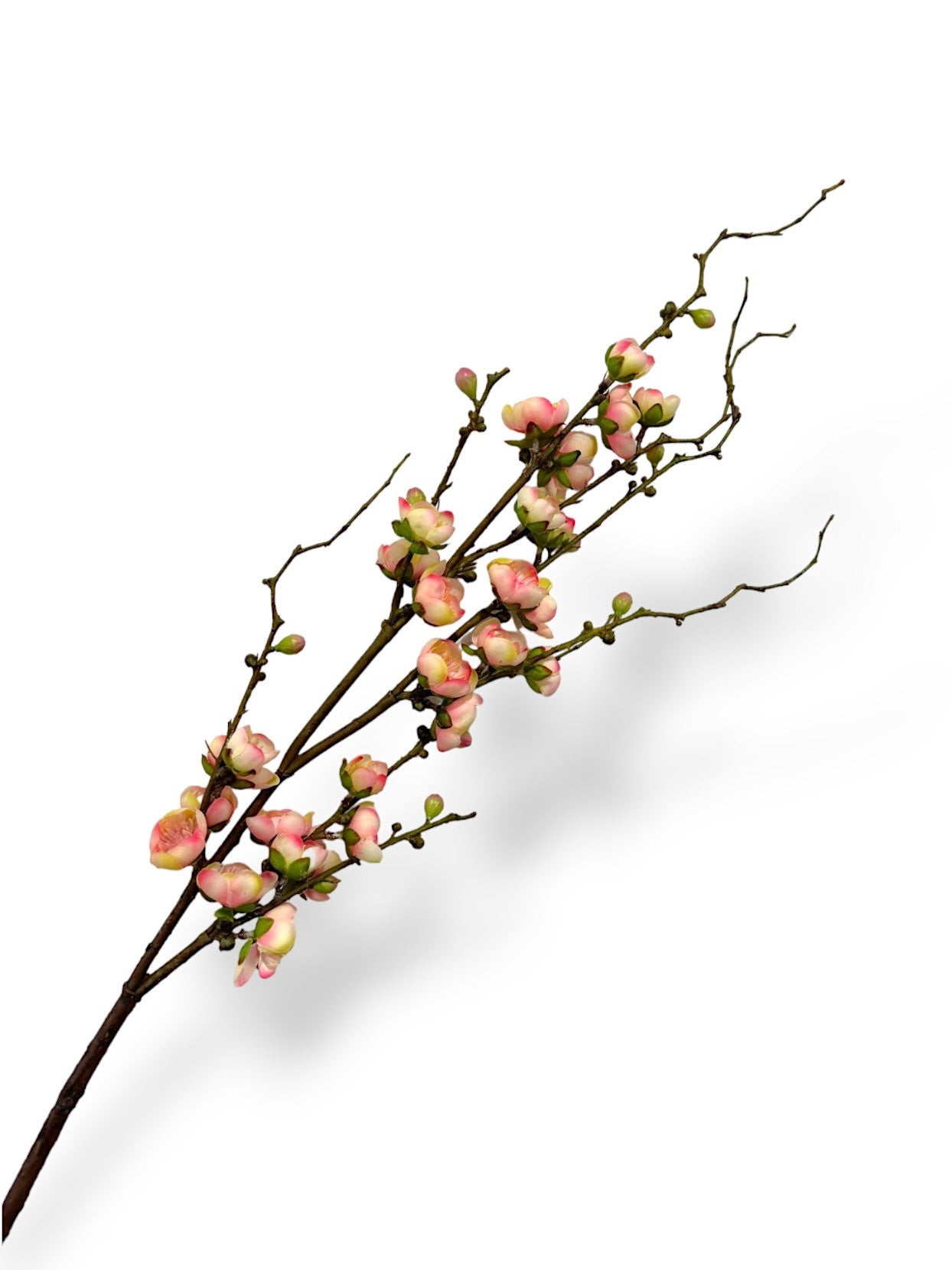 PLUM BLOSSOM BRANCH 37"