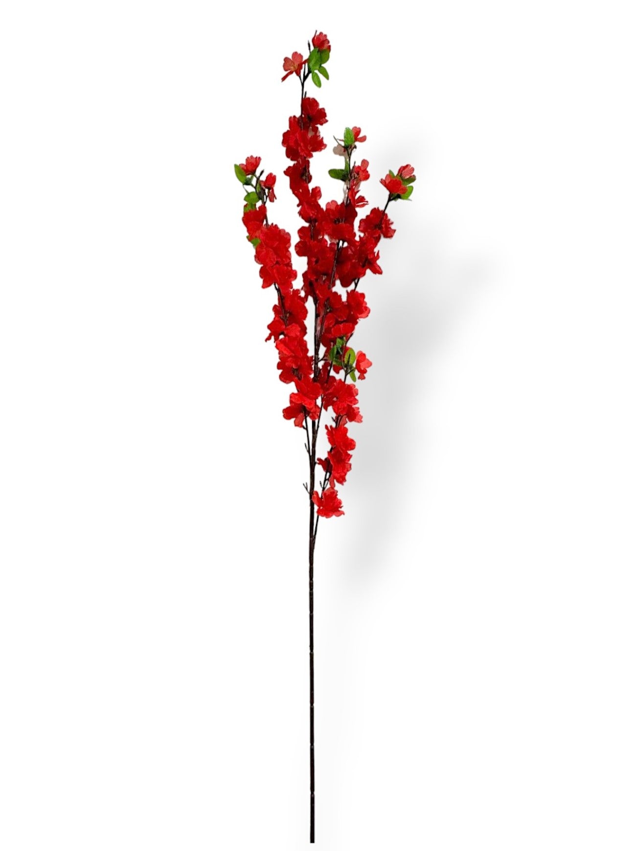 CHERRY BLOSSOM RED – Chan's Silk Flowers, inc