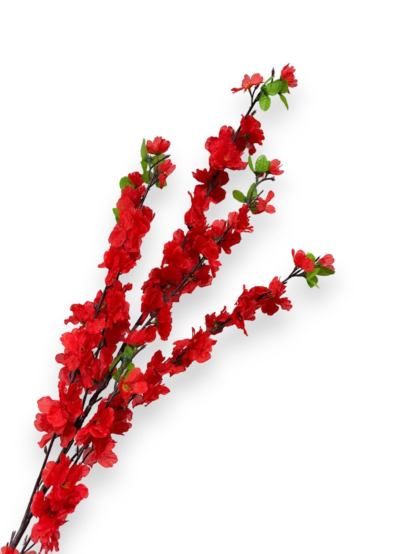 CHERRY BLOSSOM RED