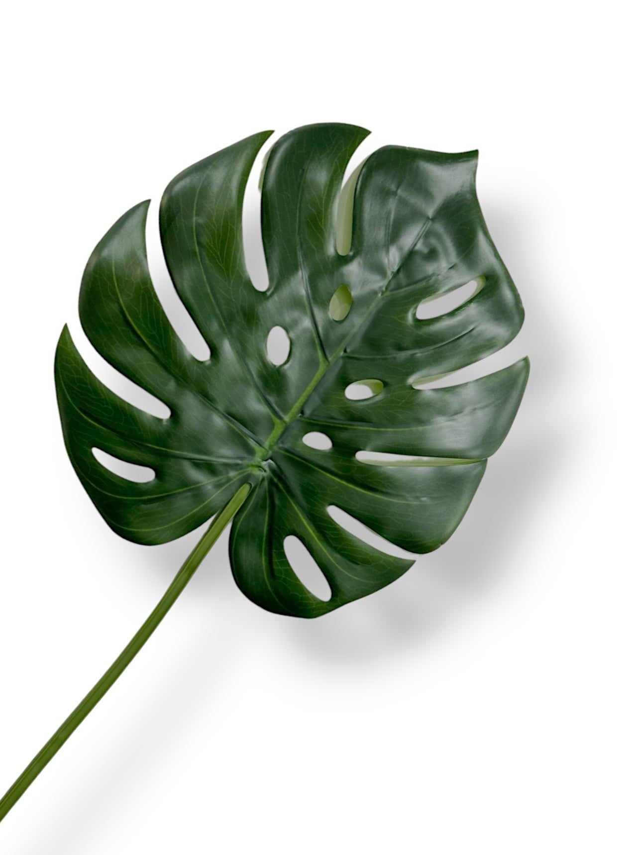 MONSTERA LEAF 34"