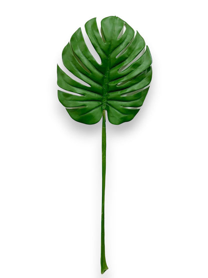 MONSTERA LEAF STEM