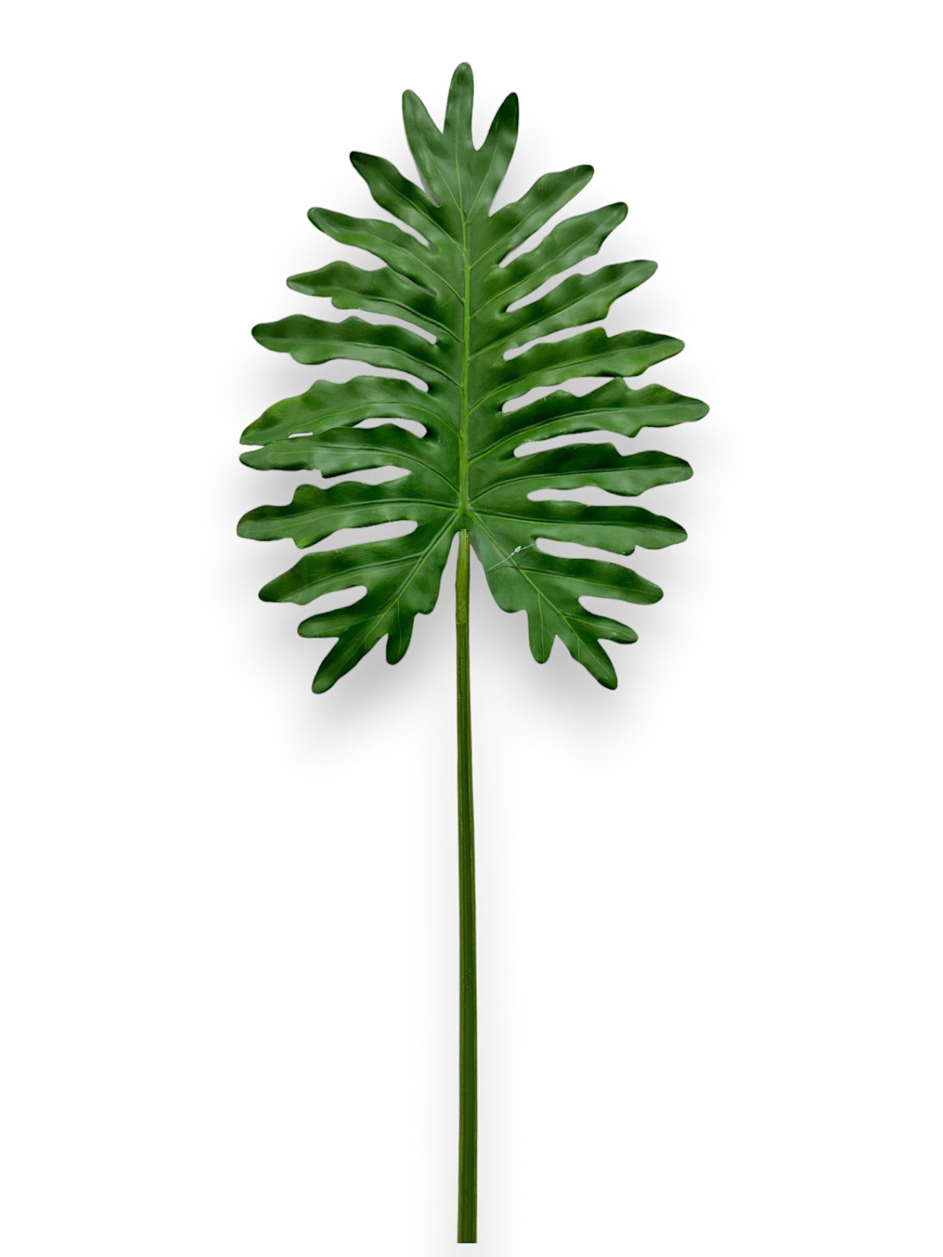 BIG SPLIT LEAF STEM 46"