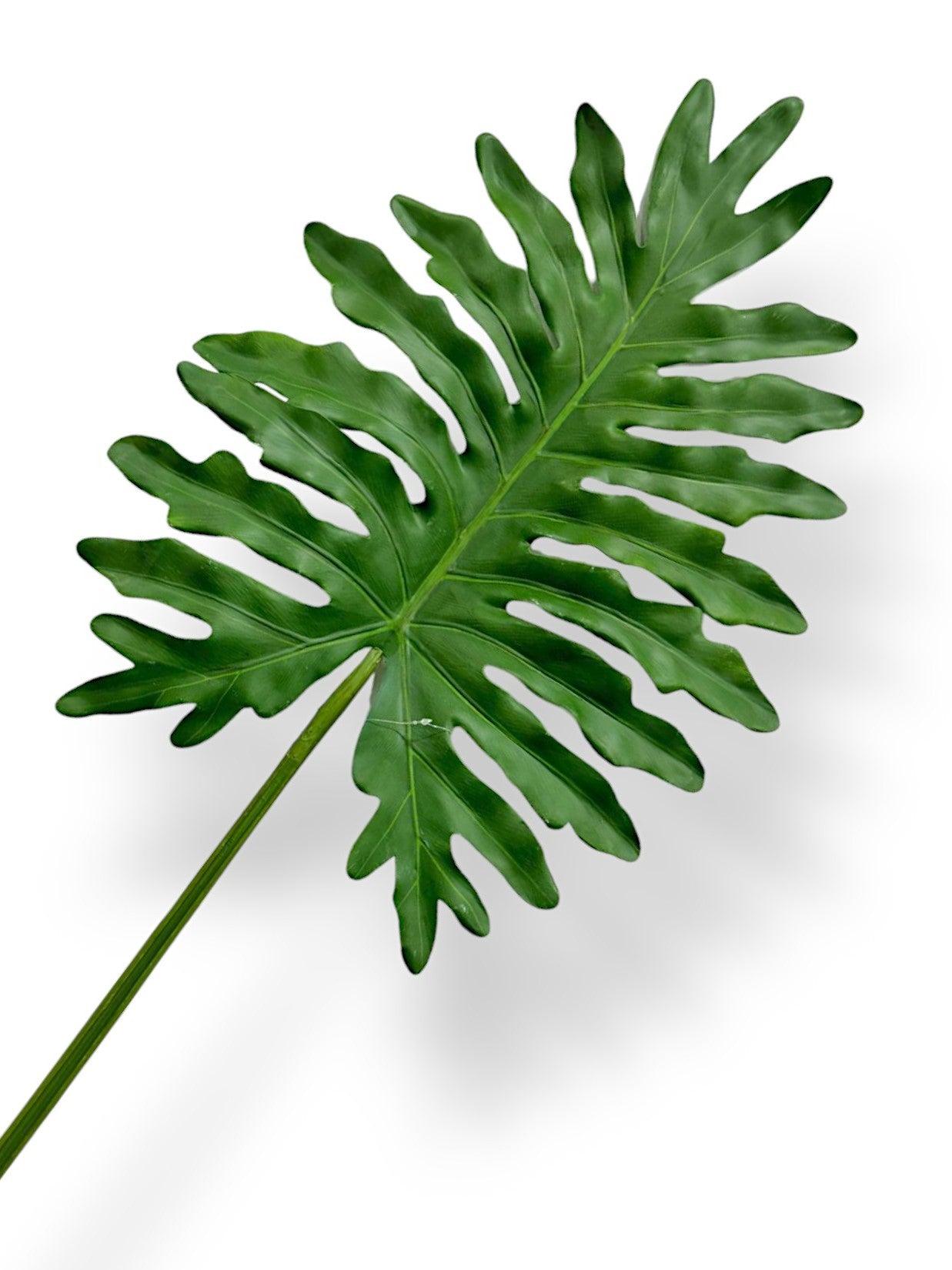 BIG SPLIT LEAF STEM 46"