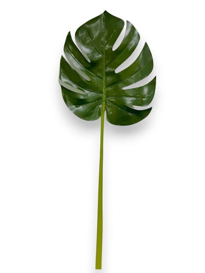 SPLIT PHILODENDRON LEAF