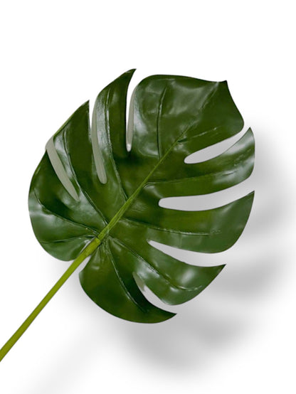 SPLIT PHILODENDRON LEAF