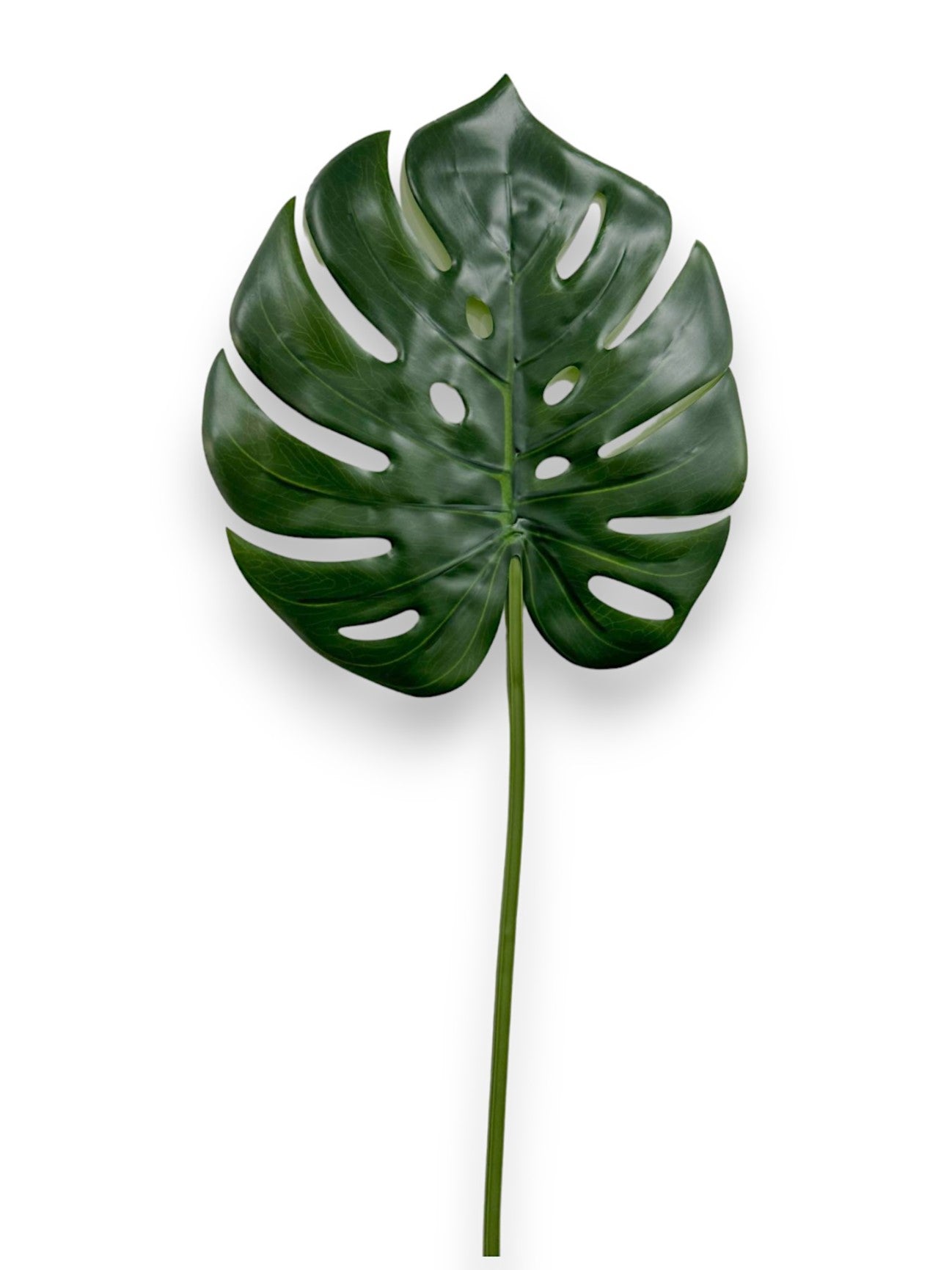 MONSTERA LEAF 34"
