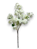 CHERRY BLOSSOM SPRAY