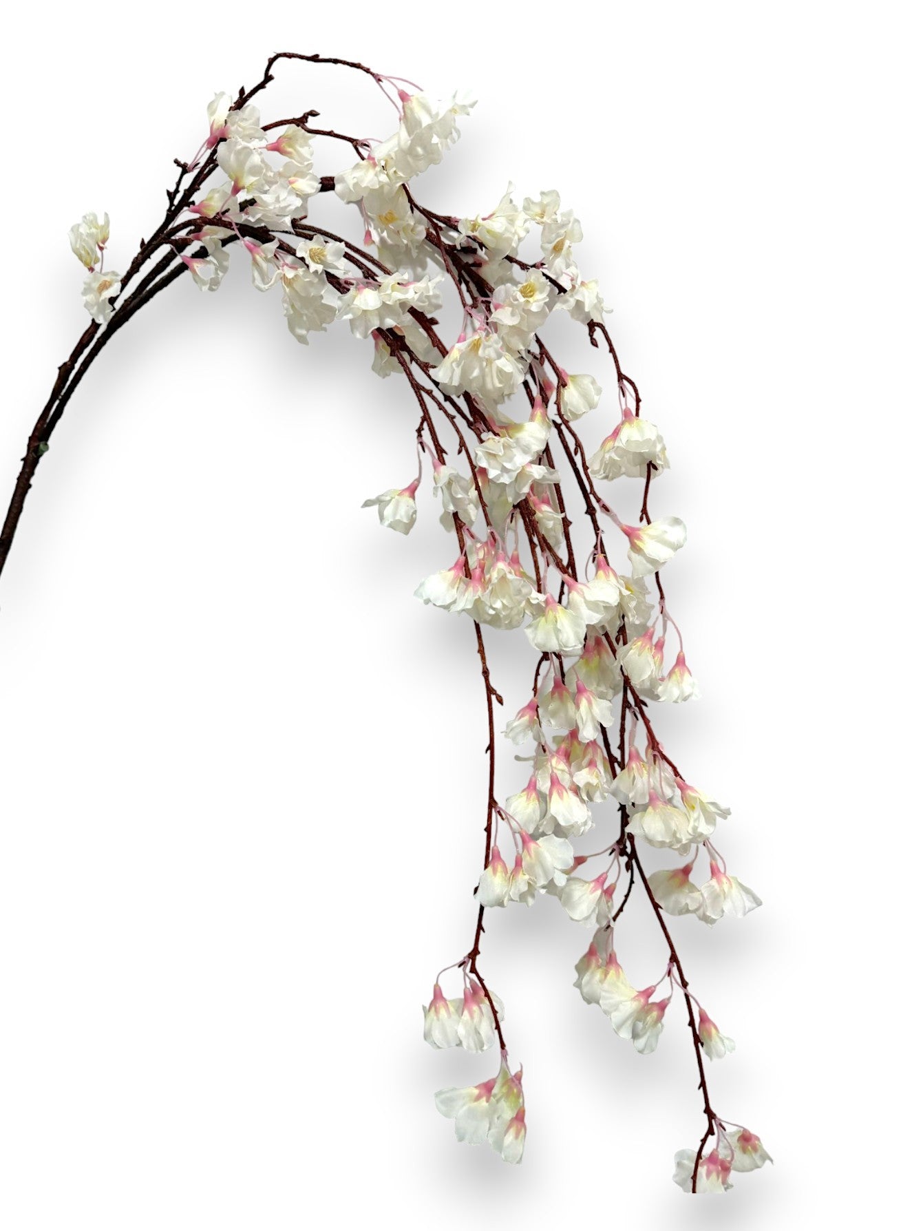 Hanging Cherry Blossom