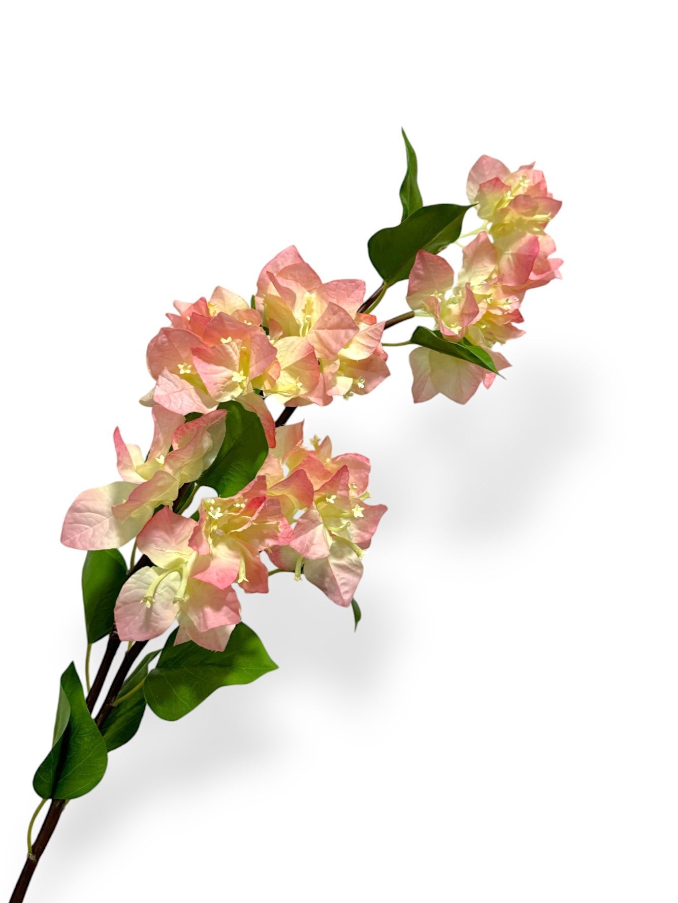 BOUNGAINVILLEA 38"