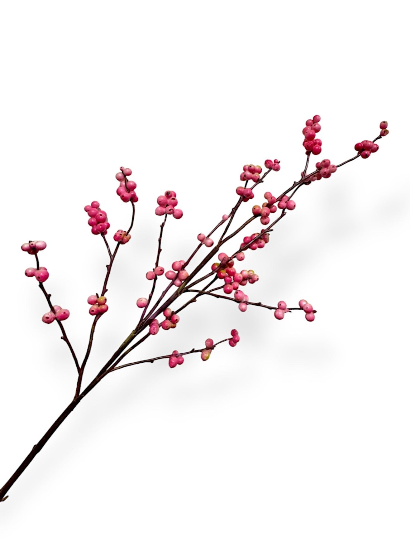 SNOW BERRY SPRAY 39"
