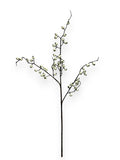 BERRY SPRAY 29"