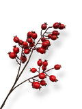 BERRY SPRAY 31"