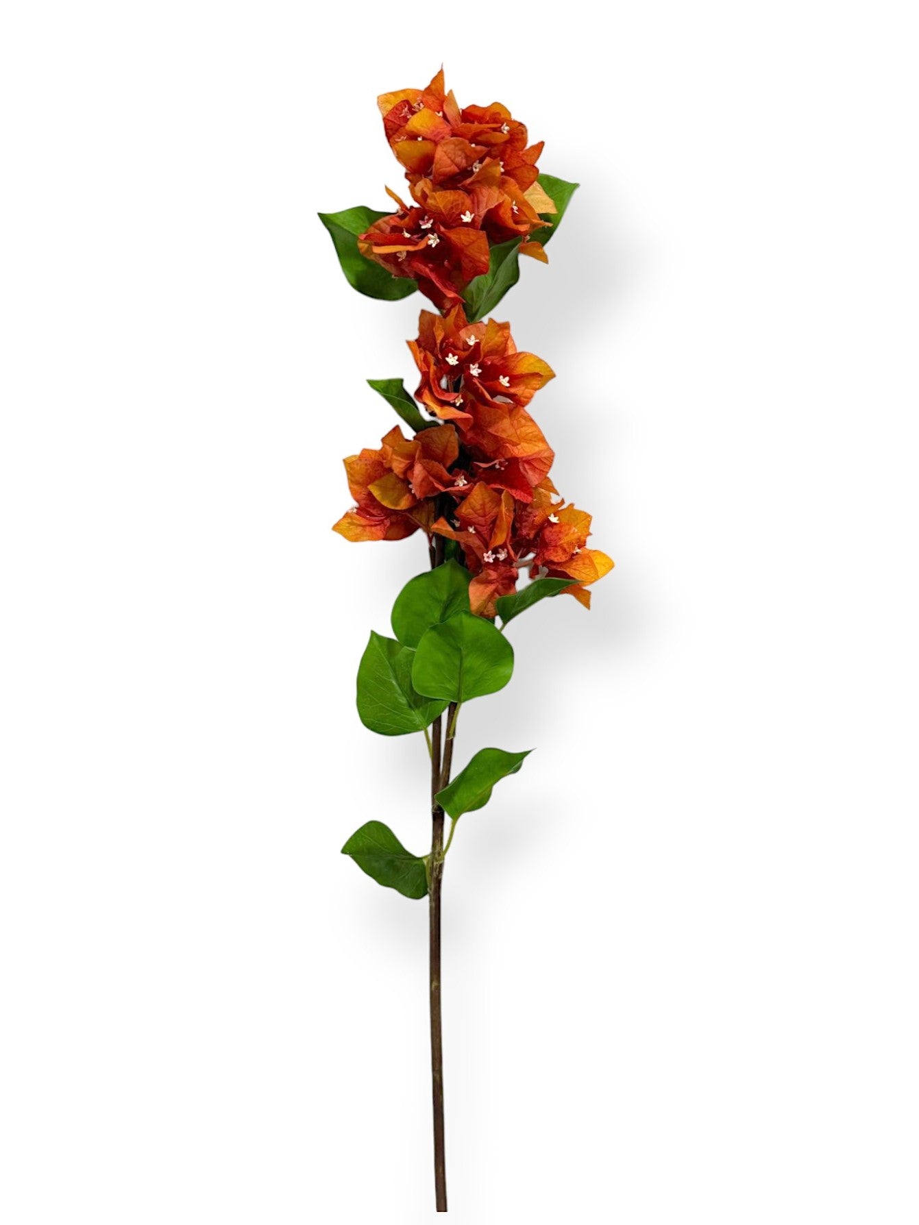 BOUNGAINVILLEA 38"