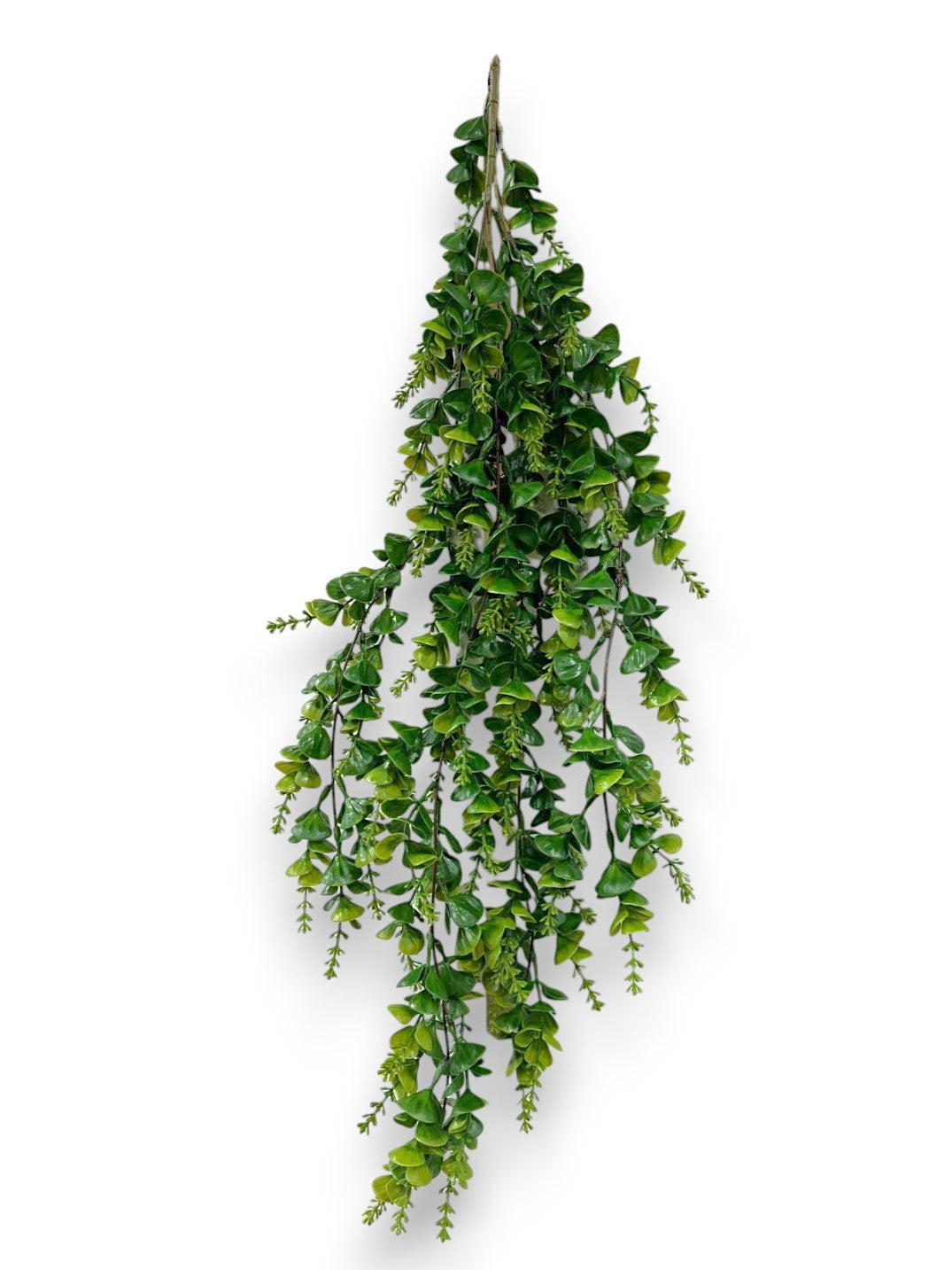 Eucalyptus Hanging Bush 42"