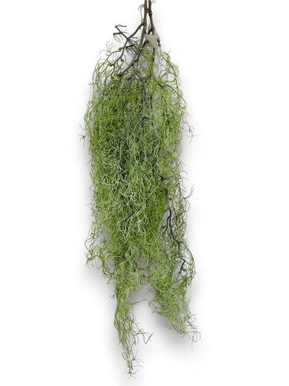 HANGING SPANISH MOSS 2PCS