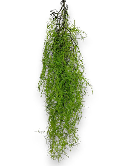 HANGING SPANISH MOSS 2PCS