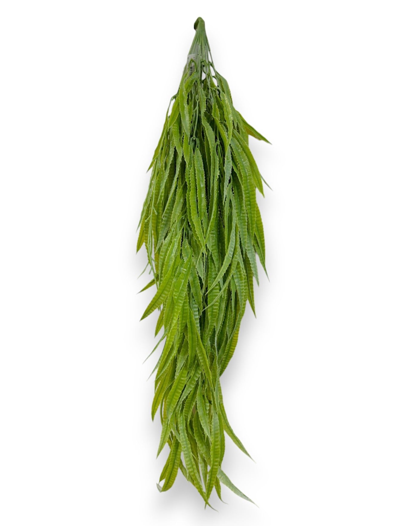 HANGING PLANT 2PCS
