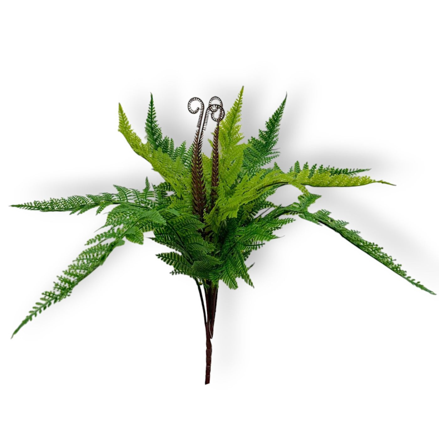 Artificial  Fern
