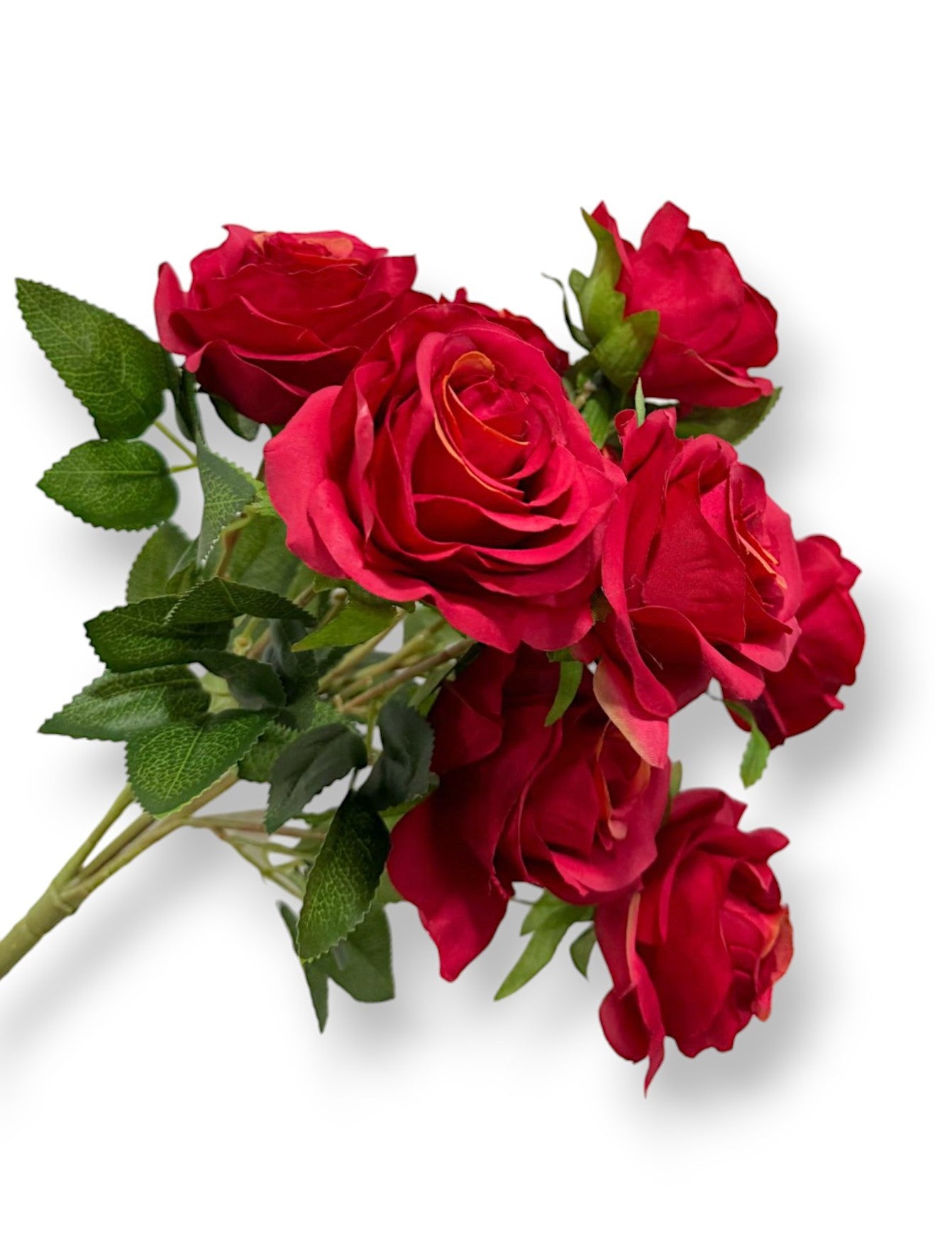 ROSE BUSH X9