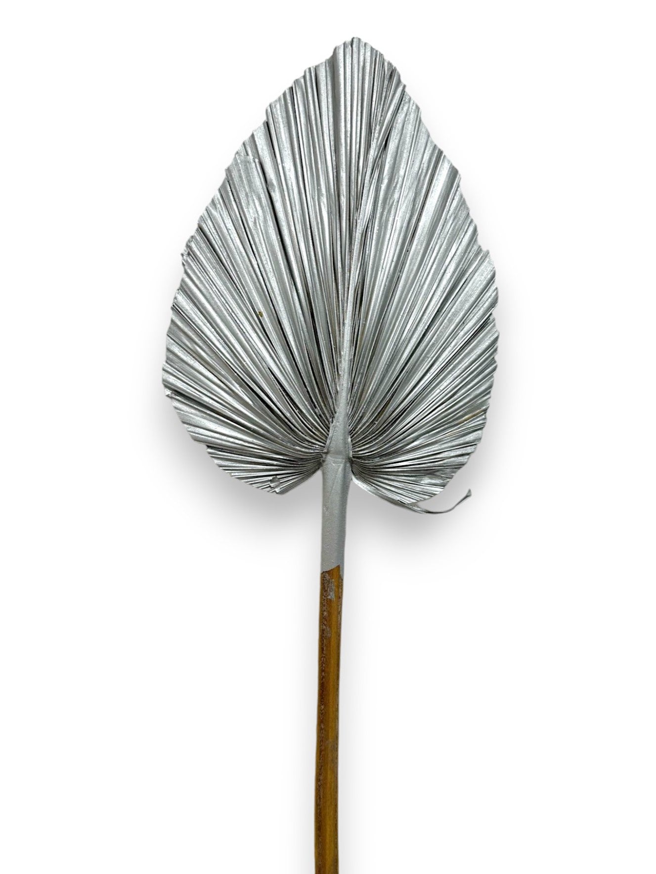 Dried Fan Palm Glit 16"