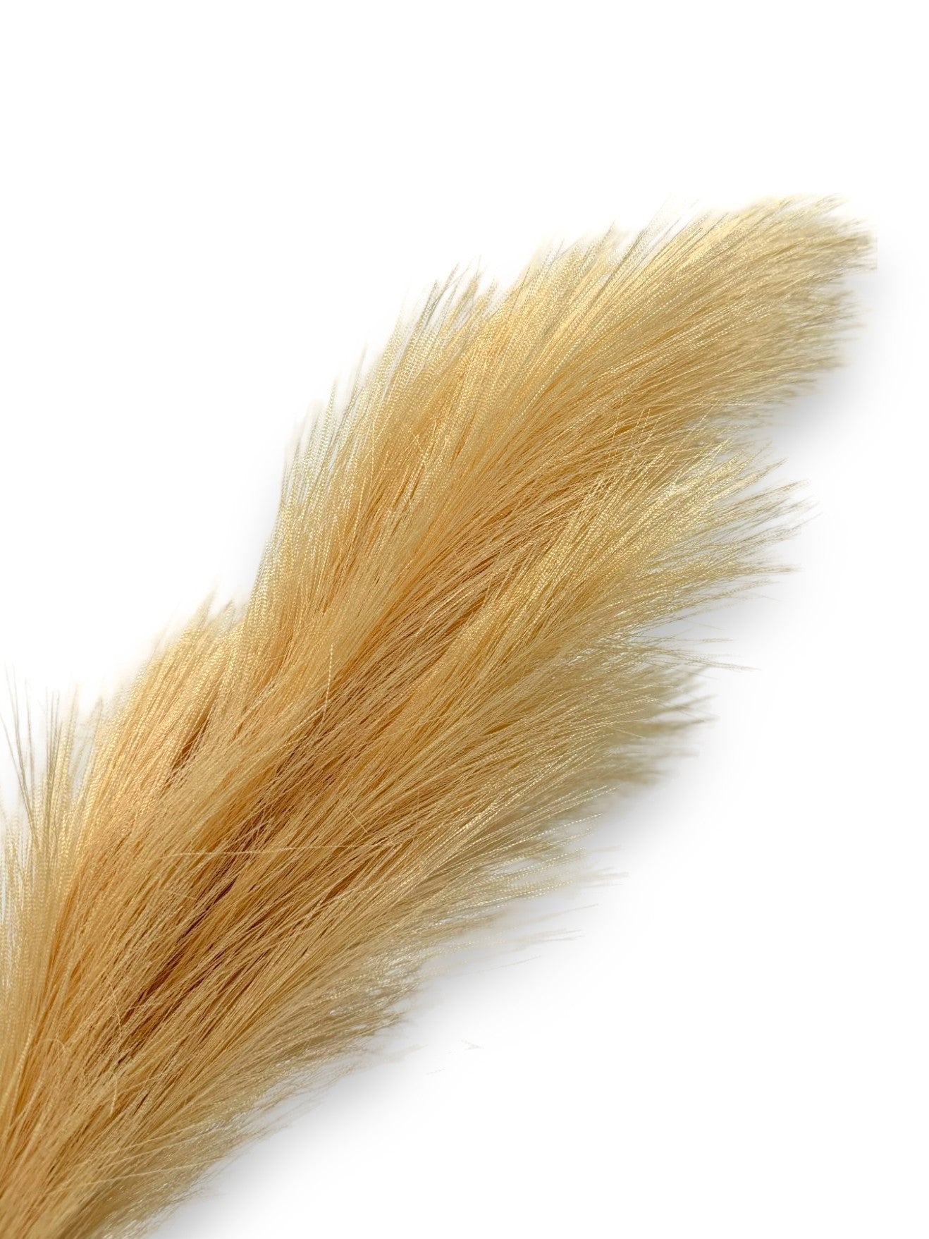ARTIFICIAL PAMPAS GRASS