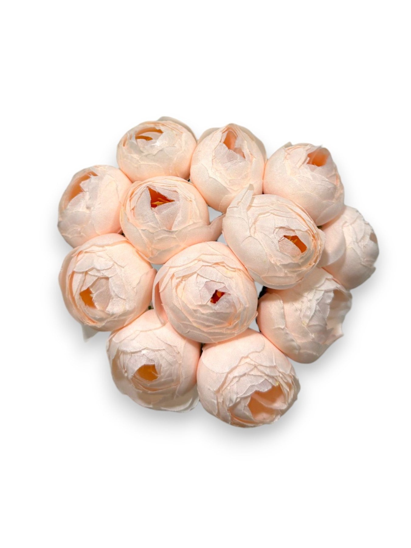RANUNCULUS BUNDLE X12