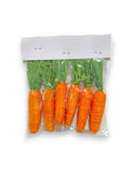 SILK CARROTSX6 EASTER SPRING