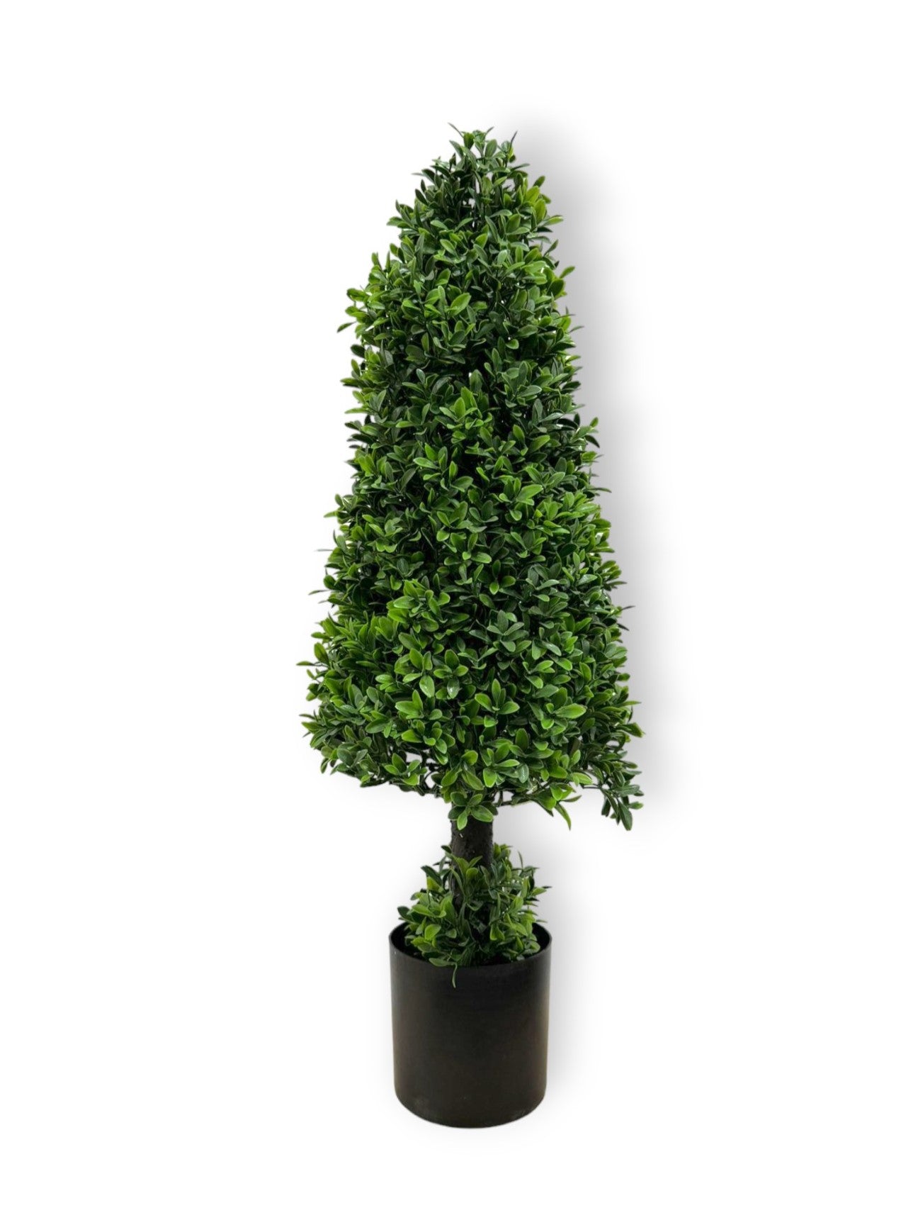 BOXWOOD CONE TOP 29"