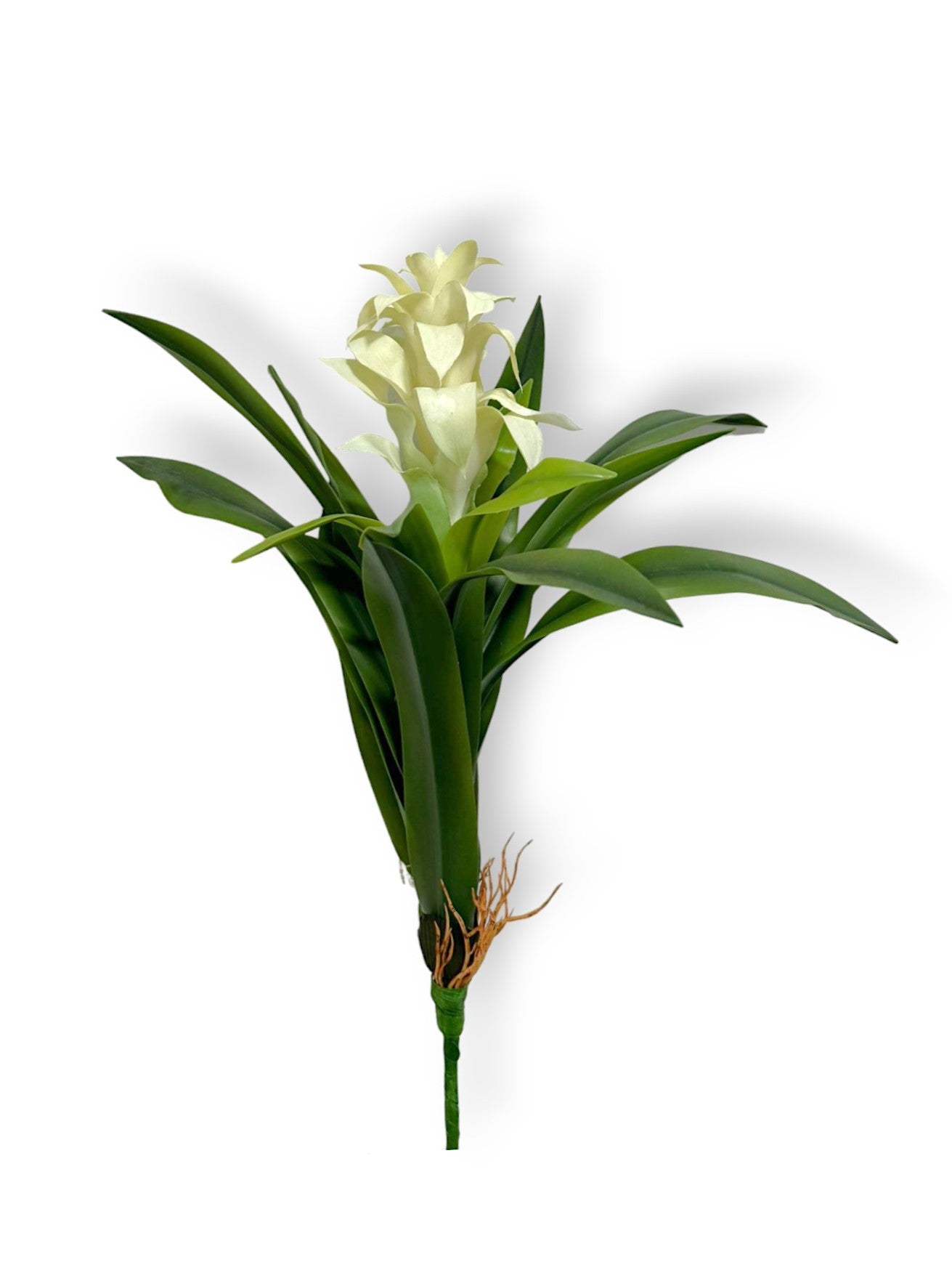 BROMELIAD NAT.TOUCH