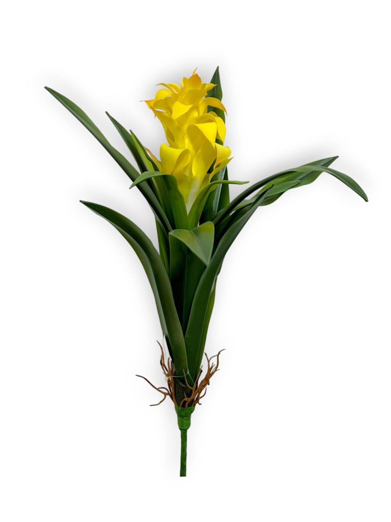 BROMELIAD NAT.TOUCH