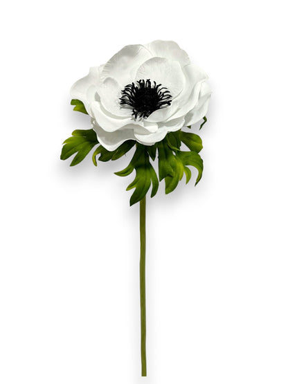 POPPY ANEMONE