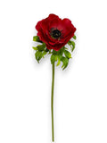 POPPY ANEMONE